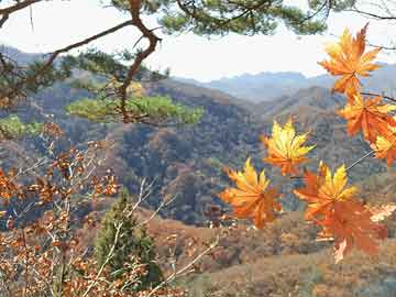 往年11月13日比鄰新紀元，學習變化的力量，自信擁抱未來無限可能