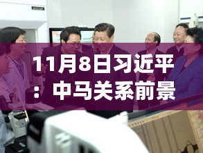 11月8日習近平：中馬關(guān)系前景光明 未來可期，11月8日習近平主席談中馬關(guān)系，未來光明，前景可期