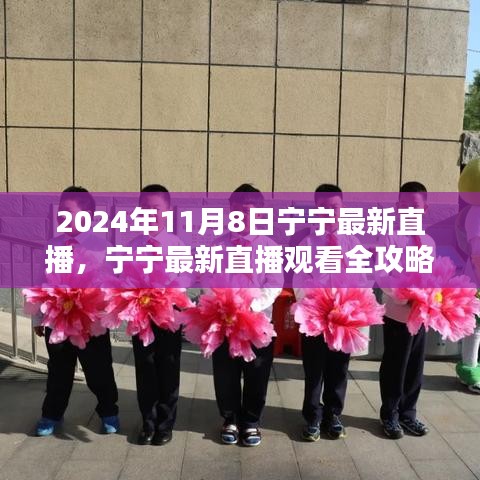 寧寧直播指南，2024年11月8日直播觀看全攻略與入門指南