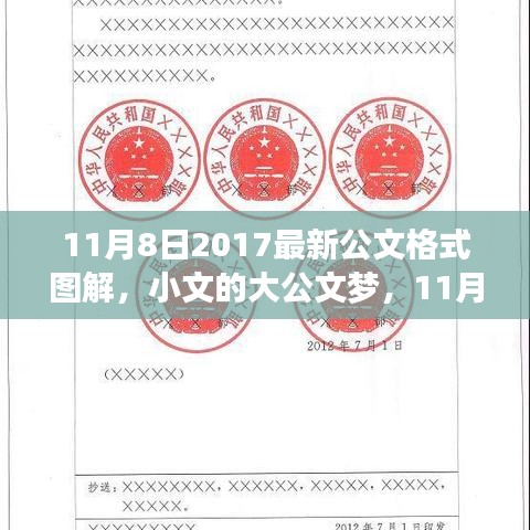 11月8日最新公文格式圖解，小文的大公文夢(mèng)與圖解之旅