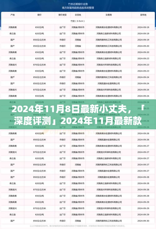 深度評測，全方位解析2024年最新款小丈夫產品特性與用戶體驗體驗報告