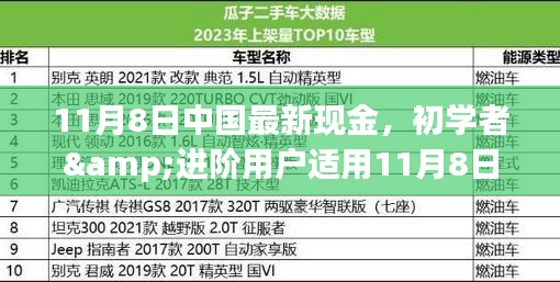 初學者與進階用戶指南，11月8日中國最新現金操作指南及任務完成步驟詳解