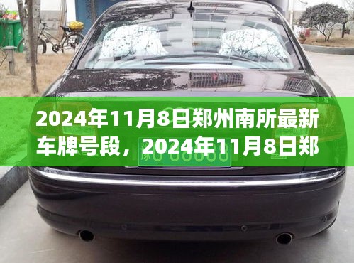 2024年鄭州南所最新車牌號段解讀與案例分析