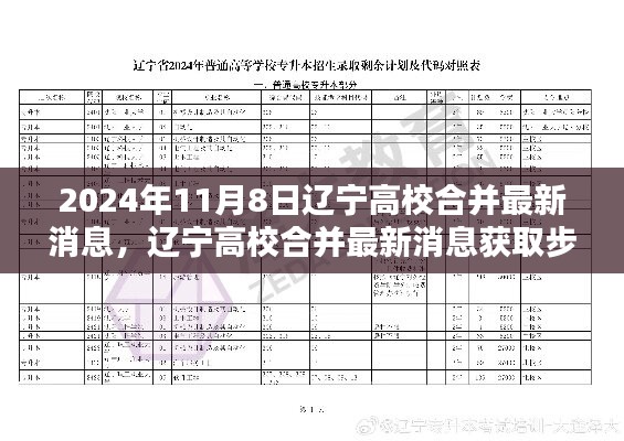 遼寧高校合并最新消息獲取指南，初學者與進階用戶適用，2024年高校合并最新動態(tài)揭秘