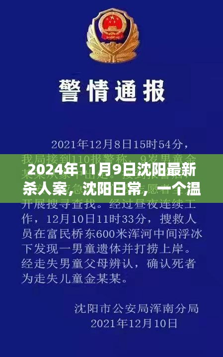 沈陽殺人案背后的友情與陪伴故事，日常溫馨背后的真相（2024年）