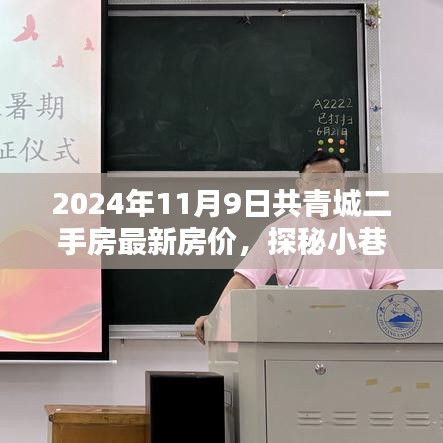 2024年共青城二手房最新房?jī)r(jià)揭秘，小巷特色小店探秘