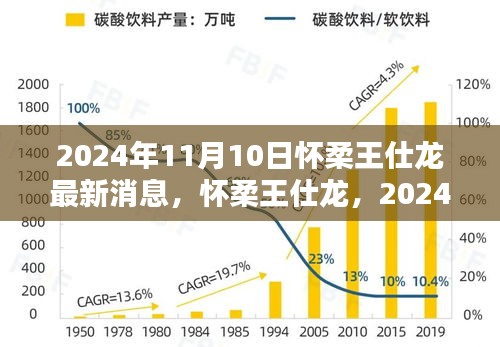 懷柔王仕龍最新動態(tài)與深遠(yuǎn)影響力揭曉，2024年11月10日更新