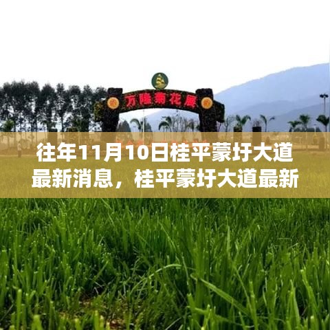 桂平蒙圩大道最新動態(tài)獲取全攻略，輕松掌握最新消息動態(tài)