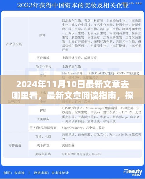 探尋最新文章閱讀指南，揭秘2024年11月10日的精彩內(nèi)容