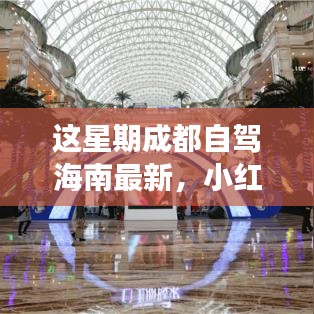 小紅書爆款！成都自駕海南極致之旅最新攻略來襲