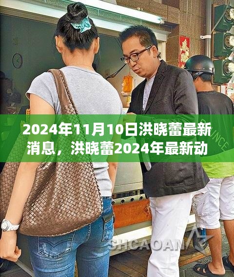 洪曉蕾2024年最新動(dòng)態(tài)，演藝事業(yè)新征程聚焦報(bào)道