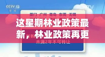 林業(yè)政策最新動向，本周更新及其時代影響力分析