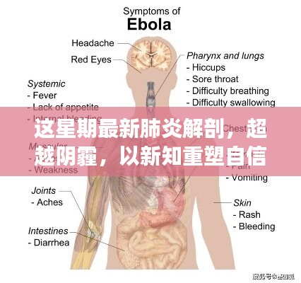 超越陰霾，最新肺炎解剖啟示錄，重塑信心與新知的探索