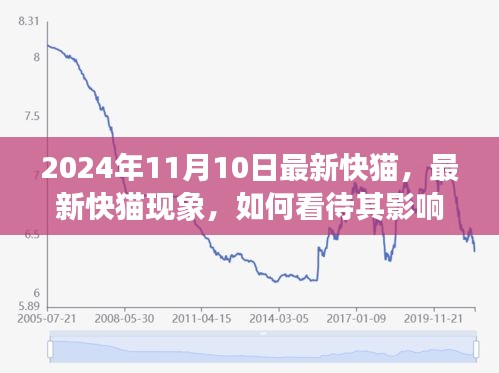 最新快貓現(xiàn)象，影響與未來發(fā)展觀察（2024年觀察點）