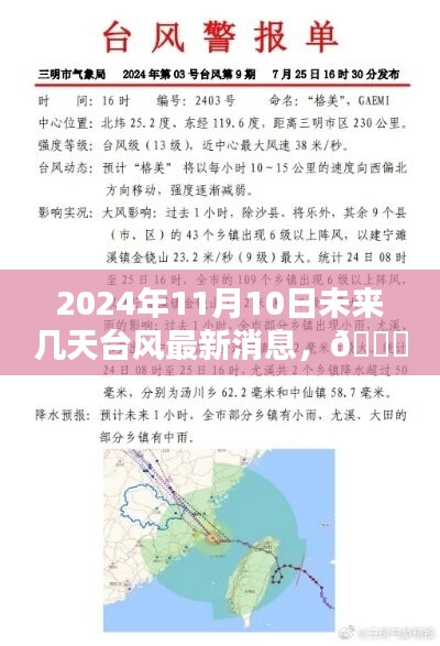 2024年11月10日及未來(lái)數(shù)日臺(tái)風(fēng)動(dòng)態(tài)，最新消息與全面解析