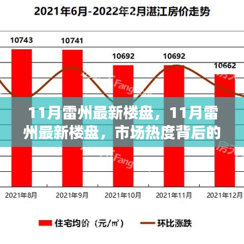 市場熱度背后的深度解讀與個人立場，11月雷州最新樓盤觀察