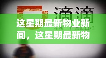 最新物業(yè)新聞一周概覽，全面解讀物業(yè)領(lǐng)域最新動(dòng)態(tài)