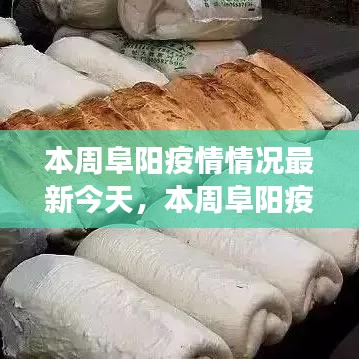 本周阜陽(yáng)疫情最新動(dòng)態(tài)，今日疫情分析、防控成效與多方觀點(diǎn)聚焦