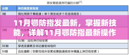 11月鄂防指最新操作流程步驟指南，掌握新技能的詳解