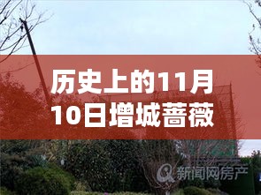 歷史上的11月10日增城薔薇國際房價(jià)揭秘，最新價(jià)格一覽表！