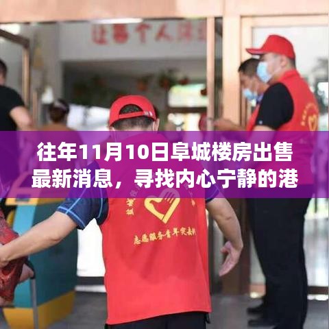 阜城樓房最新出售消息，尋找心靈寧?kù)o的自然探索之旅