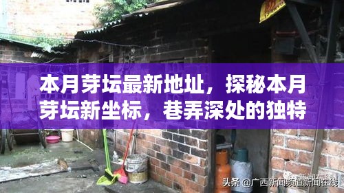 探秘本月芽壇新坐標(biāo)，巷弄深處的獨特小店最新地址揭秘