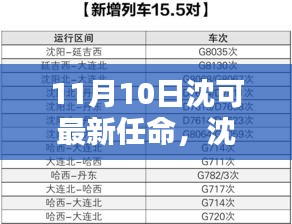 沈可新任命的背后，背景、影響與時(shí)代地位分析（最新更新）