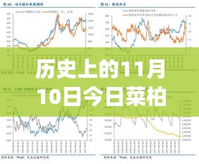 歷史上的11月10日，菜柏價格背后的勵志故事與最新行情，自信成就感的源泉