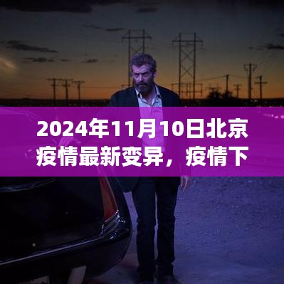 北京疫情最新變異下的溫情與友情日常，2024年11月10日最新觀察