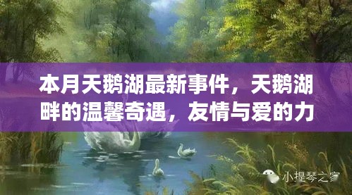 本月天鵝湖畔的溫馨奇遇，友情與愛的力量的展現(xiàn)