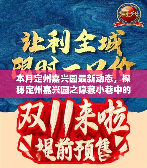 本月定州嘉興園最新動態(tài)，探秘隱藏小巷的獨特風味——新鮮打卡指南