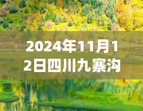 2024年11月12日四川九寨溝最新情況，自然恢復與旅游新篇章開啟