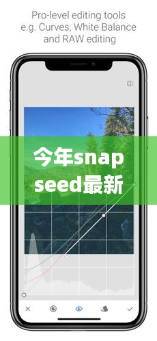 Snapseed最新版下載，回顧發(fā)展歷程，時代印記下的影響與地位