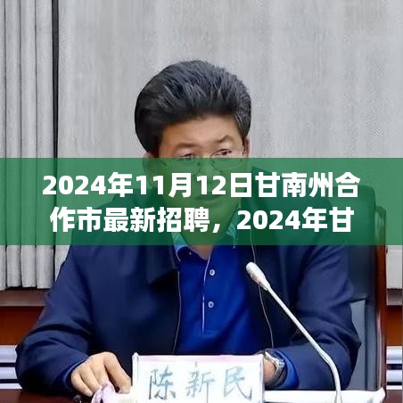 2024年甘南州合作市最新招聘盛會，職業(yè)發(fā)展的理想舞臺開啟