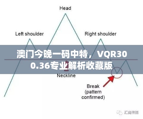 澳門(mén)今晚一碼中特，VQR300.36專(zhuān)業(yè)解析收藏版