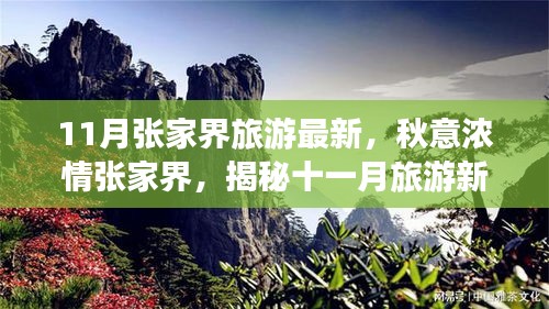 揭秘十一月張家界秋意濃情，最新旅游指南開啟新篇章