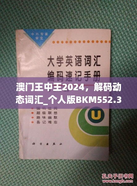 澳門王中王2024，解碼動態(tài)詞匯_個(gè)人版BKM552.33指南