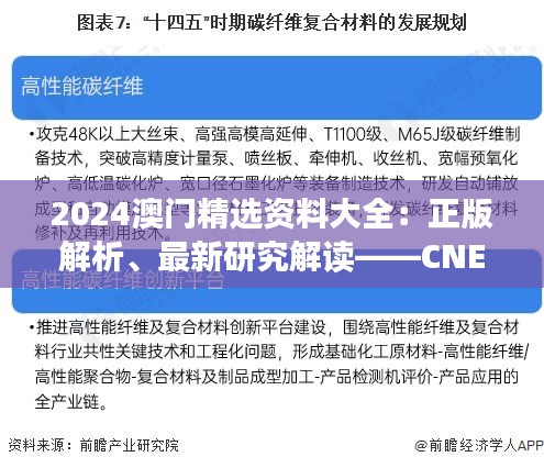 2024澳門精選資料大全：正版解析、最新研究解讀——CNE350.58可變版