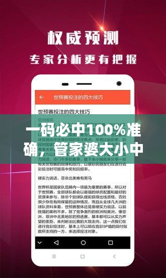 一碼必中100%準(zhǔn)確，管家婆大小中特解析，戶外版ZNA113.77深度剖析