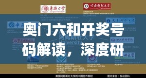 奧門六和開獎號碼解讀，深度研究揭示內(nèi)幕_百天境KMS364.98