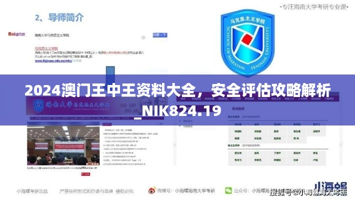 2024澳門王中王資料大全，安全評估攻略解析_NIK824.19