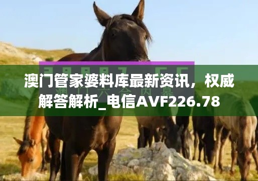 澳門管家婆料庫最新資訊，權威解答解析_電信AVF226.78