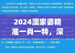 2024澳家婆精準一肖一特，深度解析精選版QRI748.52解讀