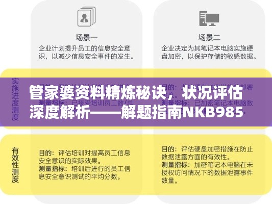 管家婆資料精煉秘訣，狀況評估深度解析——解題指南NKB985.33