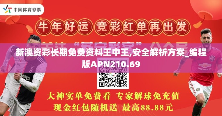 新澳資彩長期免費資料王中王,安全解析方案_編程版APN210.69