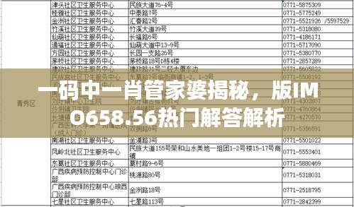 一碼中一肖管家婆揭秘，版IMO658.56熱門解答解析