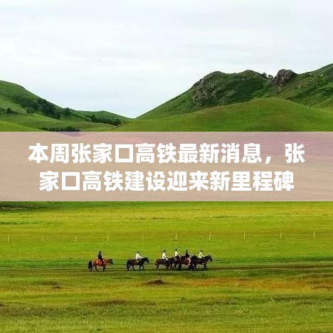 張家口高鐵建設迎新里程碑，本周動態(tài)一覽無余