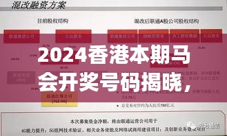 2024香港本期馬會(huì)開獎(jiǎng)號(hào)碼揭曉，安全策略深度剖析——專家視角KJY655.48