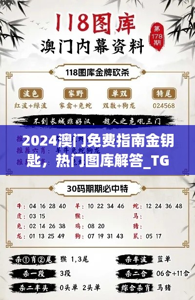 2024澳門免費(fèi)指南金鑰匙，熱門圖庫解答_TGV731.28原創(chuàng)版