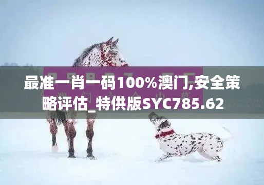 最準(zhǔn)一肖一碼100%澳門,安全策略評(píng)估_特供版SYC785.62